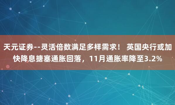 天元证券--灵活倍数满足多样需求！ 英国央行或加快降息搪塞通胀回落，11月通胀率降至3.2%