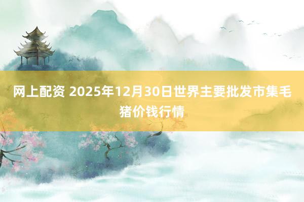 网上配资 2025年12月30日世界主要批发市集毛猪价钱行情