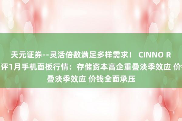 天元证券--灵活倍数满足多样需求！ CINNO Research简评1月手机面板行情：存储资本高企重叠淡季效应 价钱全面承压