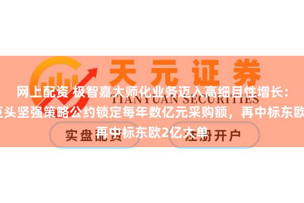 网上配资 极智嘉大师化业务迈入高细目性增长：与电商巨头坚强策略公约锁定每年数亿元采购额，再中标东欧2亿大单
