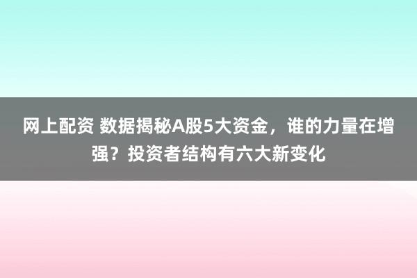 网上配资 数据揭秘A股5大资金，谁的力量在增强？投资者结构有六大新变化