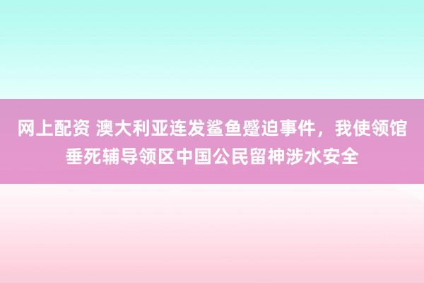 网上配资 澳大利亚连发鲨鱼蹙迫事件，我使领馆垂死辅导领区中国公民留神涉水安全